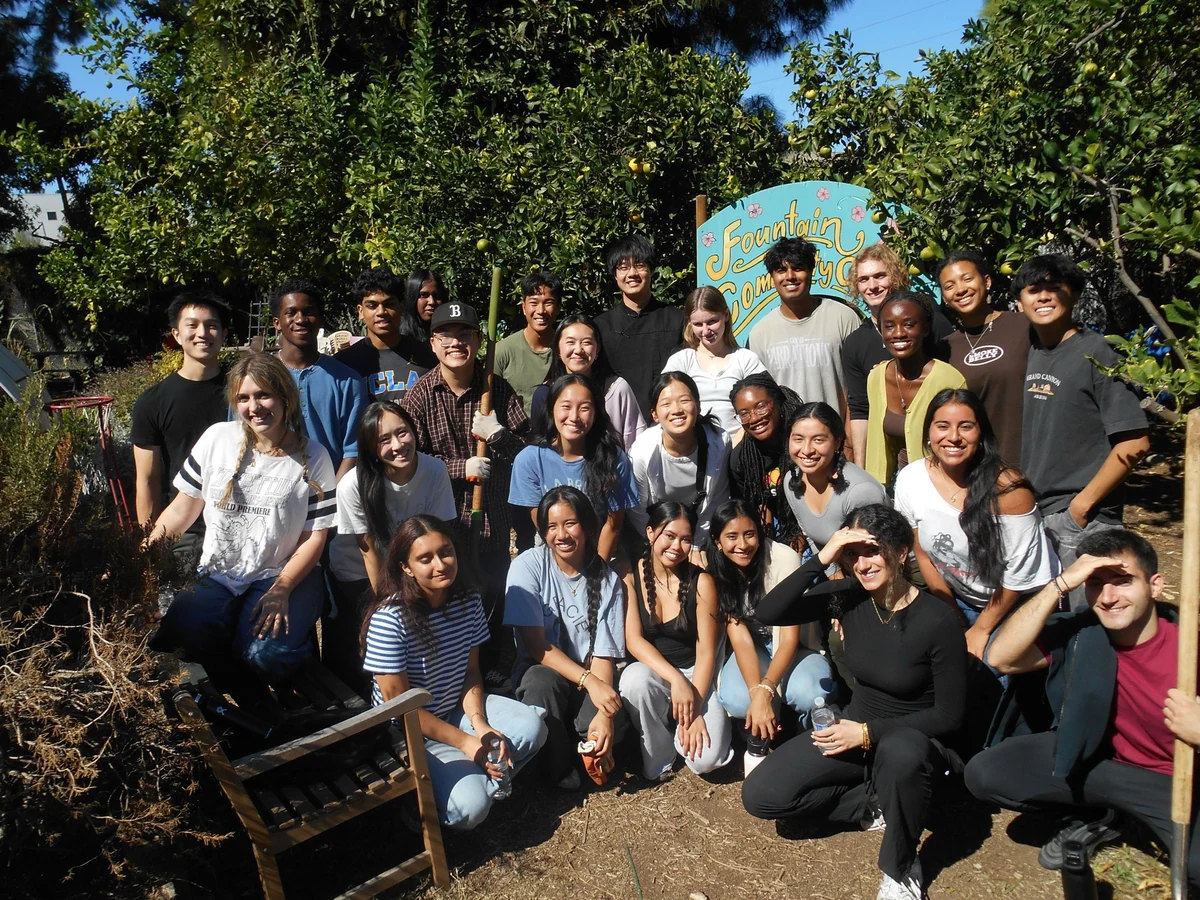 PULSE UCLA - Pre-medical Undergraduate Learning through Shadowing ...
